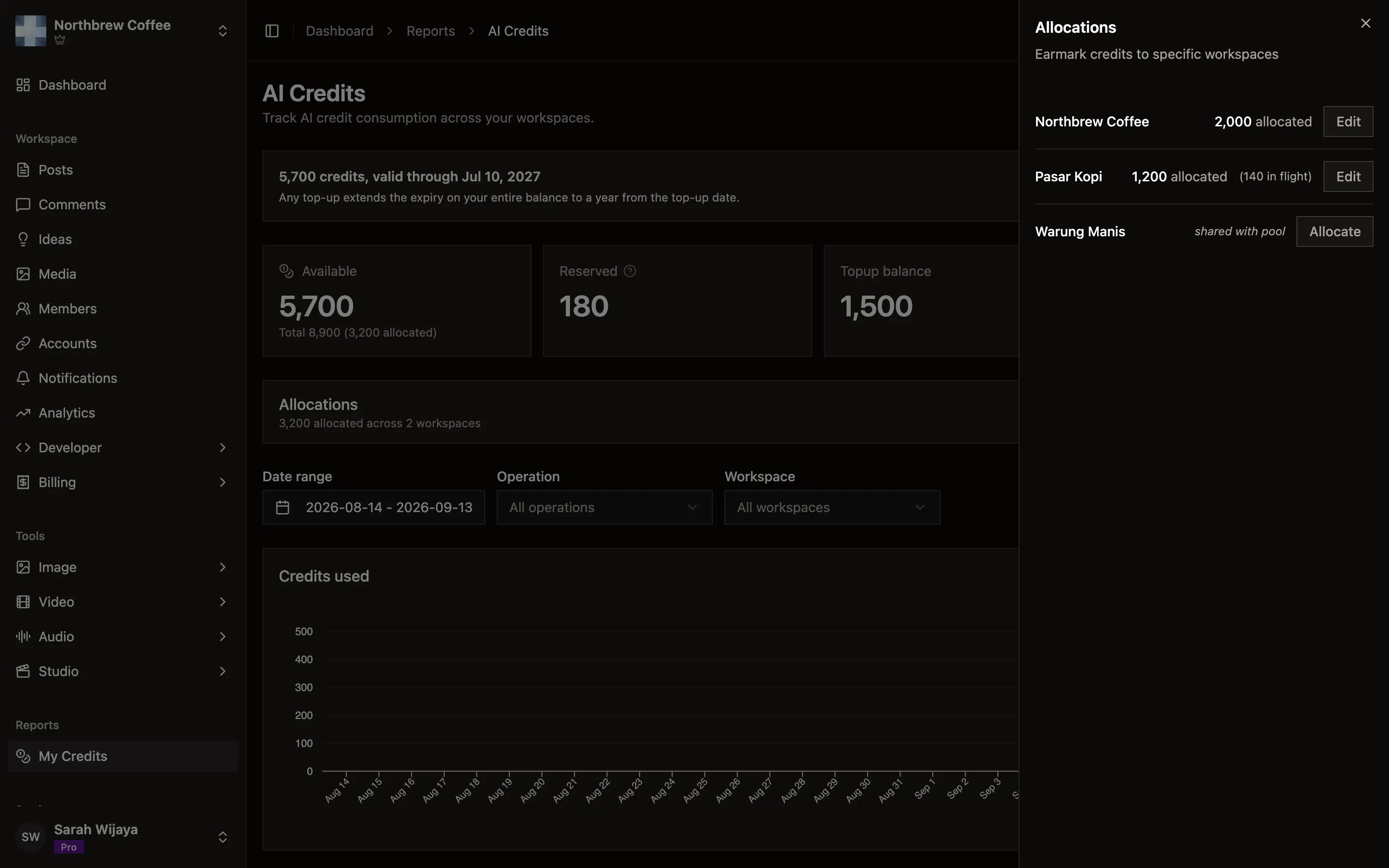 The allocations panel listing each workspace with its allocated credits, or shared with pool when it has none.