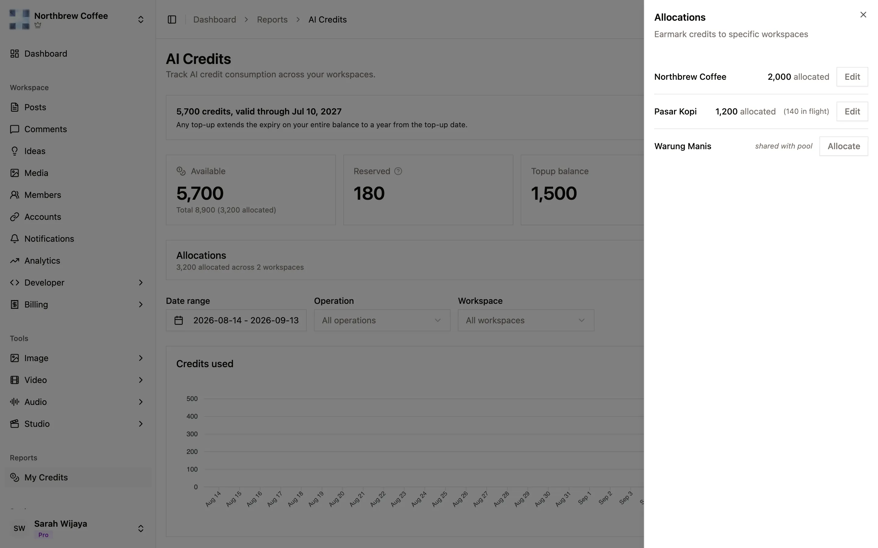 The allocations panel listing each workspace with its allocated credits, or shared with pool when it has none.