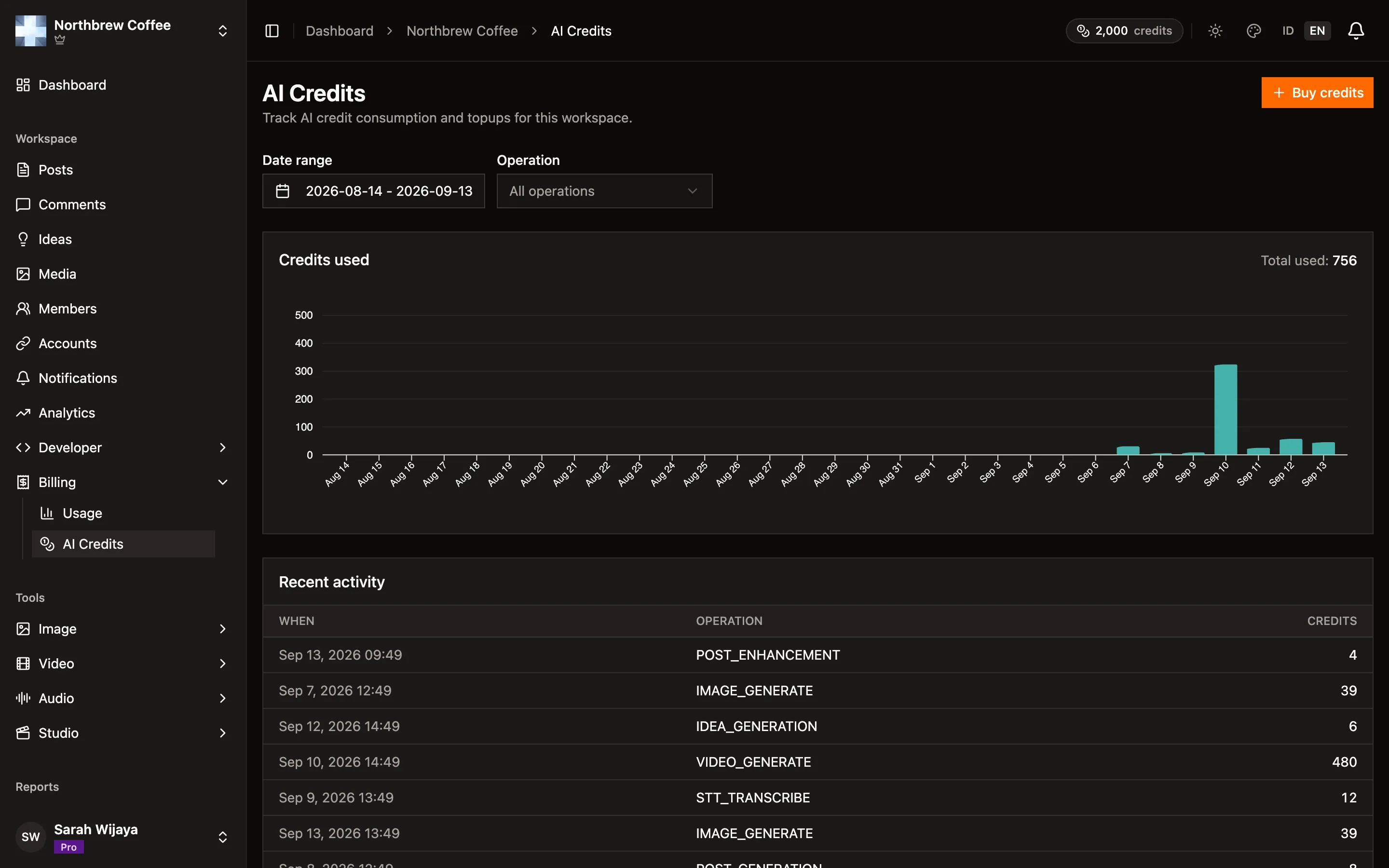 The AI credits page showing available balance, reserved credits, and workspace allocations.