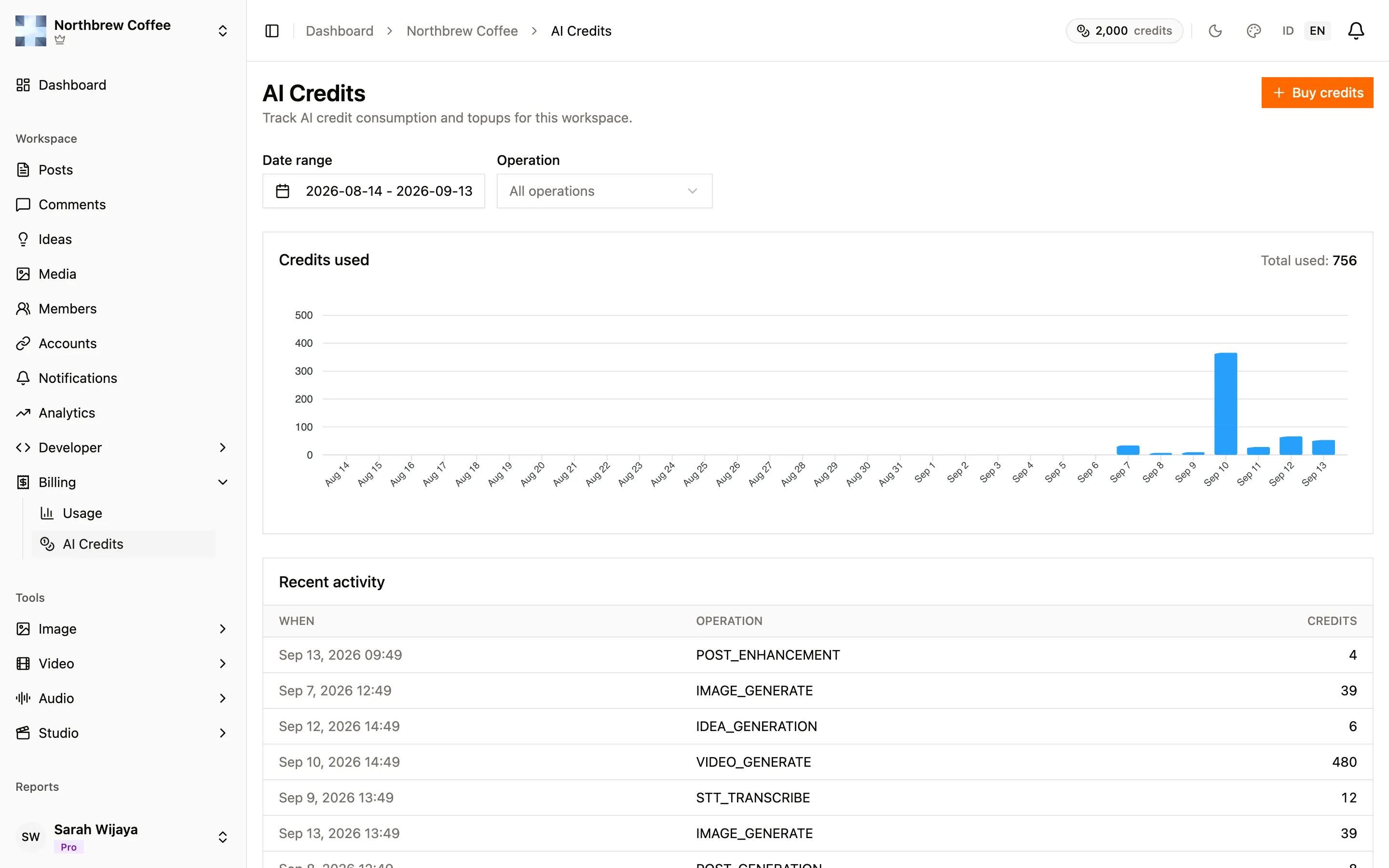 The AI credits page showing available balance, reserved credits, and workspace allocations.