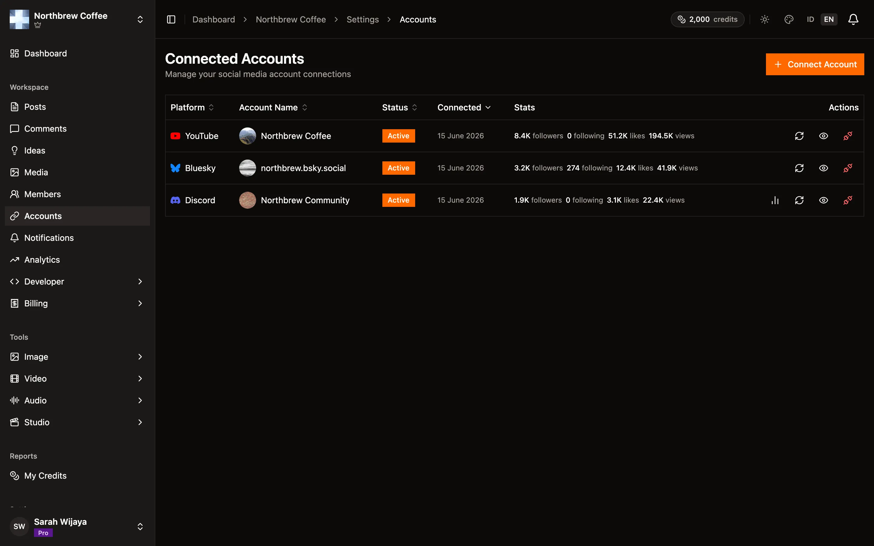 The Connected Accounts page listing the linked YouTube, Bluesky, and Discord accounts.