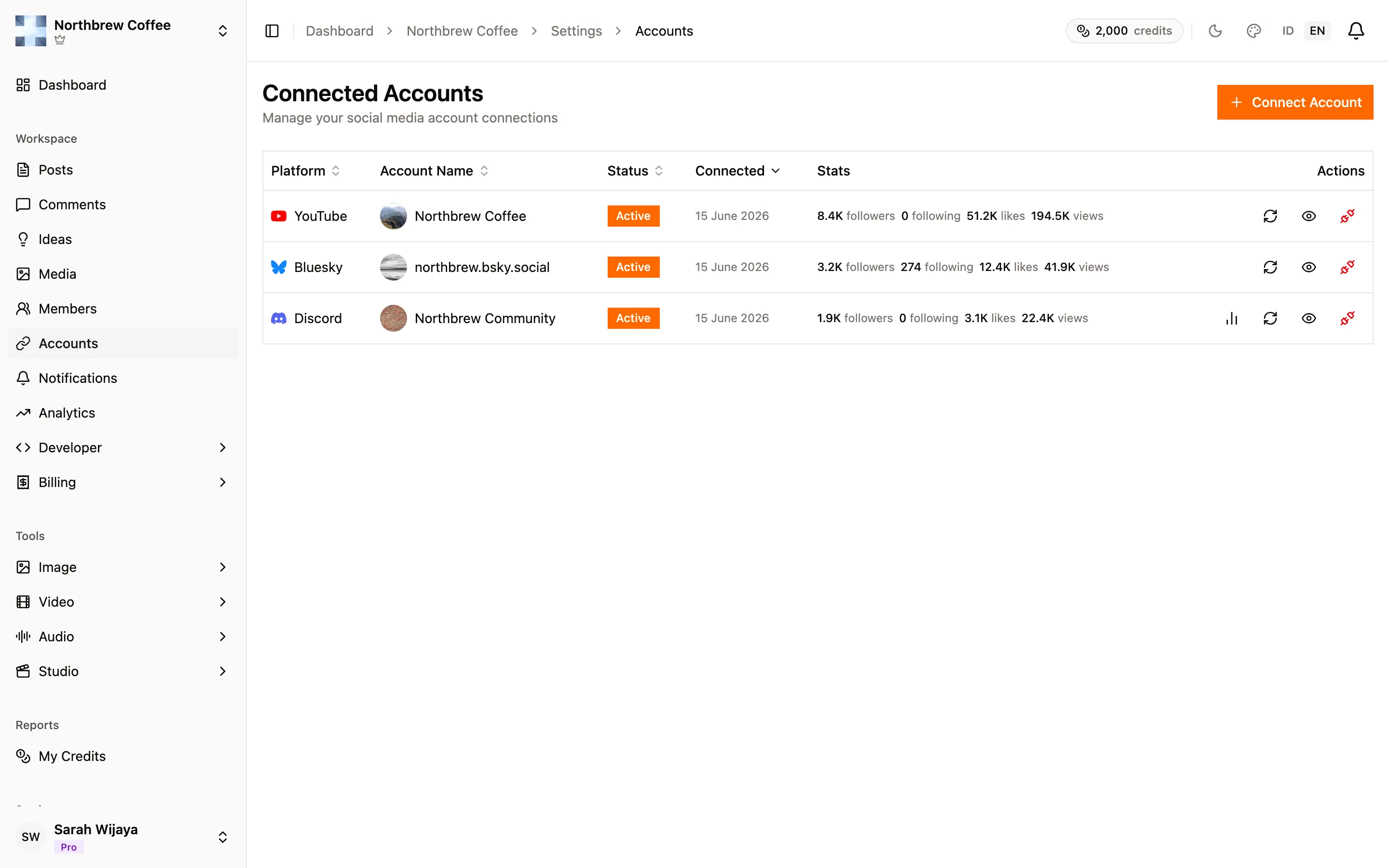The Connected Accounts page listing the linked YouTube, Bluesky, and Discord accounts.