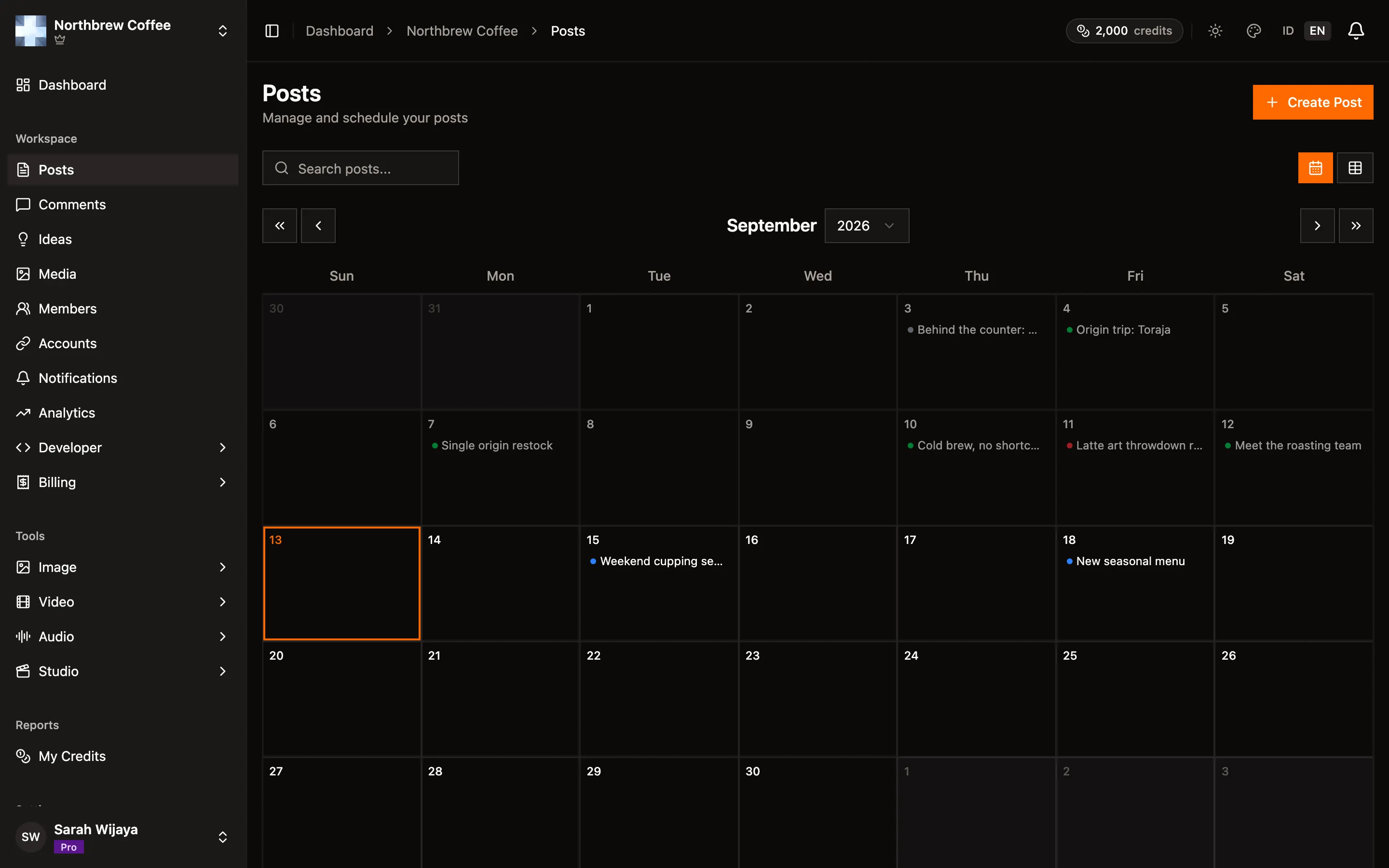 The posts list showing published, scheduled, failed, and draft posts.