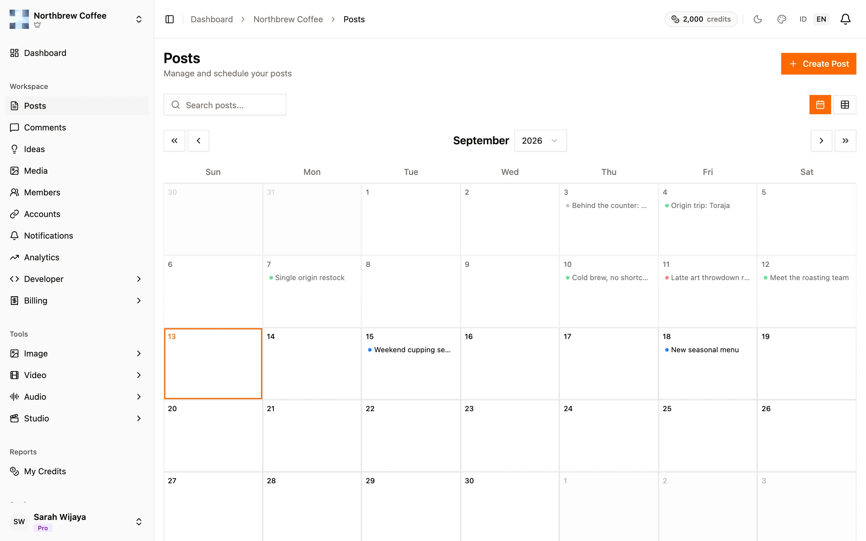 The posts list showing published, scheduled, failed, and draft posts.
